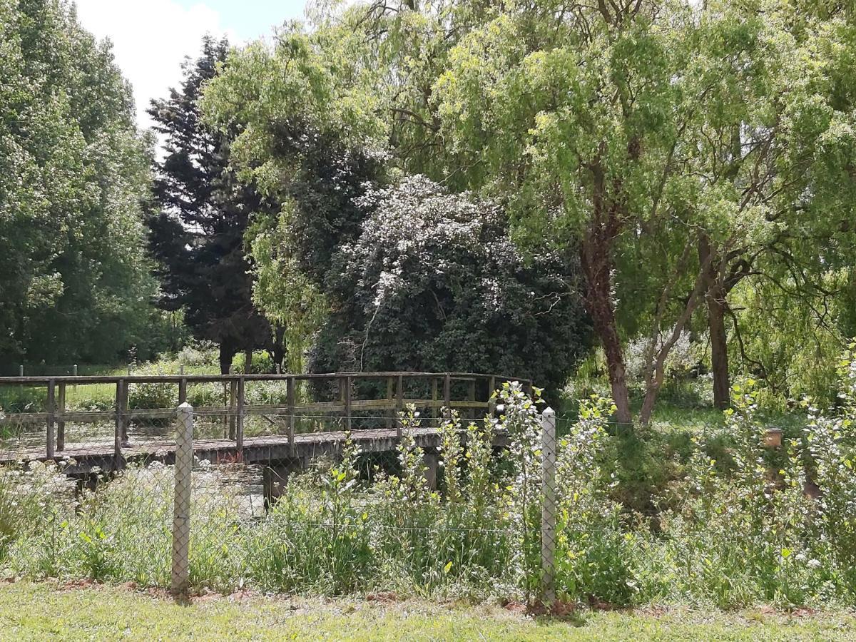 Le Bonheur Des Plumes Bed & Breakfast Montmartin-en-Graignes Eksteriør bilde