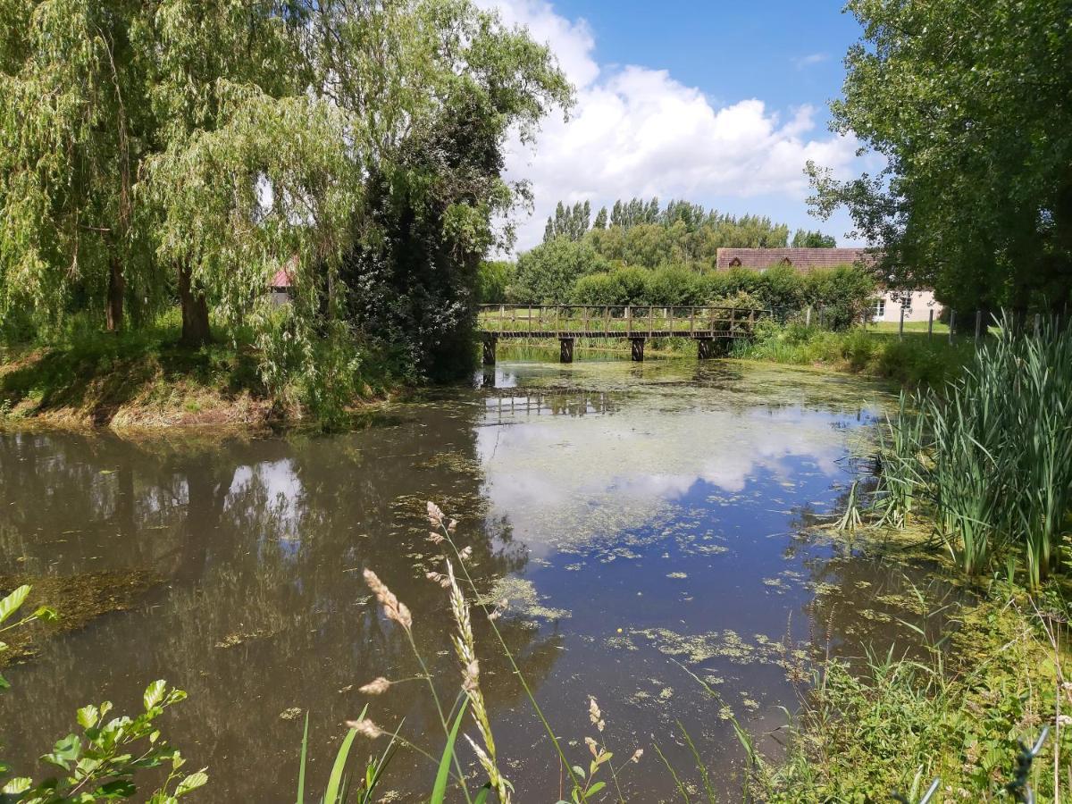 Le Bonheur Des Plumes Bed & Breakfast Montmartin-en-Graignes Eksteriør bilde